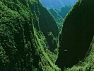Réunion - Gorge du Bras de Caverne